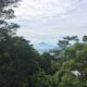 12 Hours in El Salvador